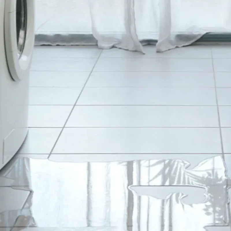 Appliance Leak Cleanup in Iron Mountain, MI