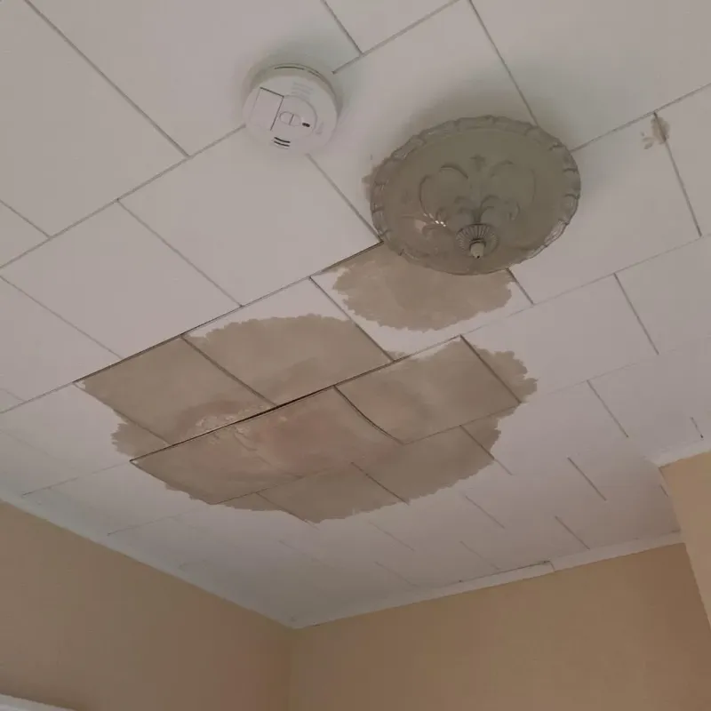 Ceiling Water Damage Repair in Iron Mountain, MI