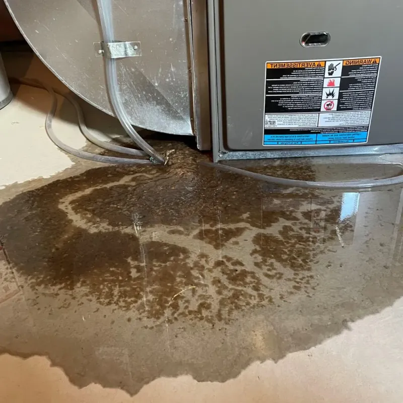 Pipe Burst and Leak Restoration in Iron Mountain, MI